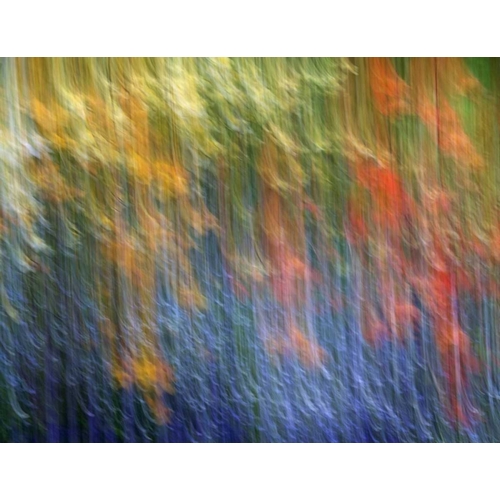 Canada Abstract blur of garden colors